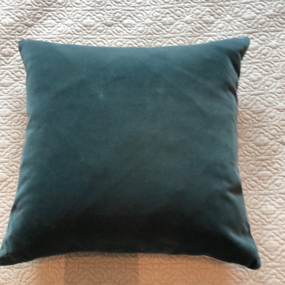 Pottery Barn accent throw pillow